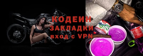 дмт Заводоуковск