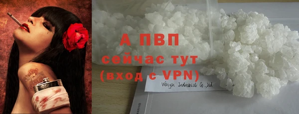 дмт Заводоуковск
