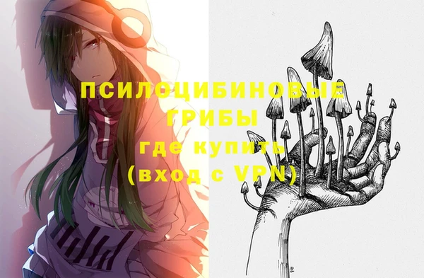 дмт Заводоуковск