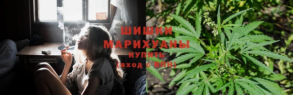 дживик Заволжье